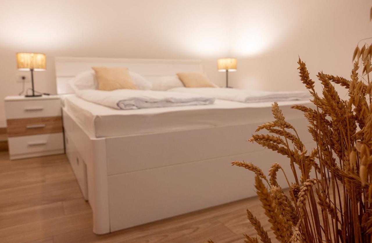 Zvane Apartment Malinska